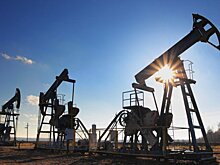Объем добываемой в России нефти вырос на 2% за 2022 год – СМИ