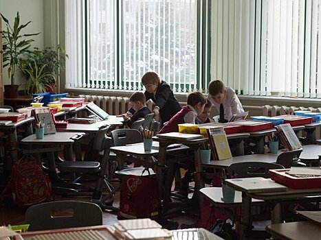 В СФ прокомментировали идею Милонова о психологическом тестировании учащихся