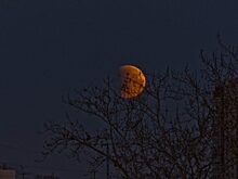 УрФО: уволенный бунтарь, лунное затмение и черноокий тюменец