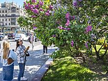 «Будет что-то странное»: прогноз погоды на весну. Синоптики ожидают сплошные отклонения от нормы