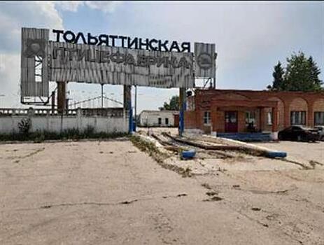 Тольяттинскую птицефабрику выставили на торги за 290 млн рублей