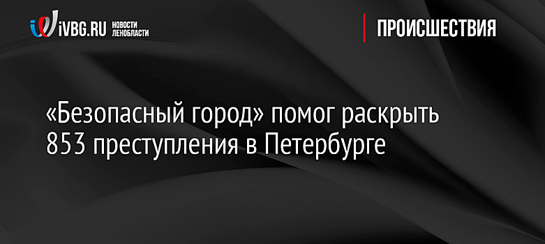 «Безопасный город» помог раскрыть 853 преступления в Петербурге