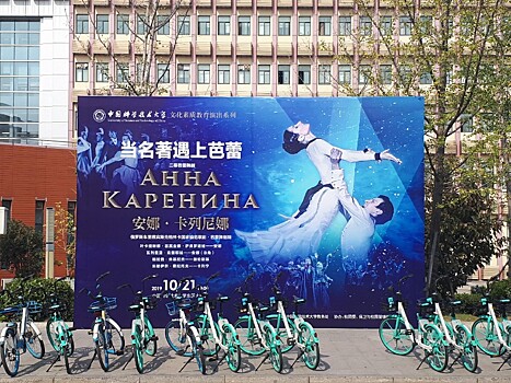Очарованные челябинской «Анной Карениной» китайцы смотрели балет стоя