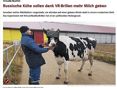 Очки виртуальной реальности для коров российского производства попали в заголовки европейских СМИ