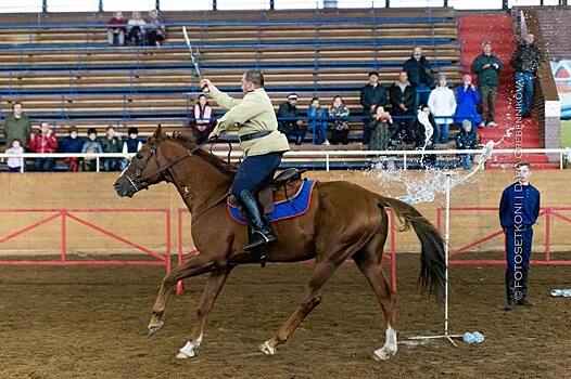 Самые интересные моменты выставки «Золотая лошадь»: в фокусе донская и буденновская породы лошадей!