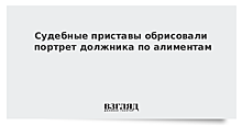 Приставы составили портрет среднестатистического должника по алиментам в Москве