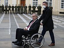 Сенаторы Чехии намерены инициировать импичмент Земана