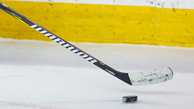 В НХЛ поддержали решение IIHF отменить ЧМ-2020