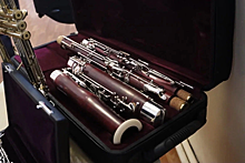 Мичуринские детские школы искусств получили новые музыкальные инструменты