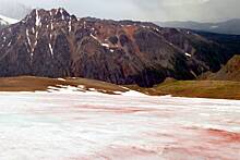 Ледники кровавого цвета на Алтае попали на видео