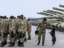 Подсчитаны объемы международной помощи армии Украины