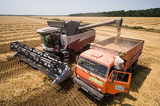 «Новотранс» отберет русское зерно у прибалтов