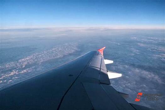 Самолет, вылетевший из Москвы в Курган, вернулся обратно из-за отказа двигателя
