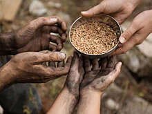 Продовольственная программа ООН заявила о нехватке средств для голодающих