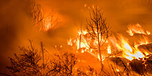 Обзор зарубежных СМИ: лесные пожары в Испании и день йоги в Бишкеке