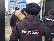 Ирина Волк: В Сахалинской области полицейские задержали руководителя строительной организации, подозреваемую в хищении у граждан около 200 миллионов рублей