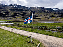 Американский политик пошутил, что Исландия станет 52-м штатом