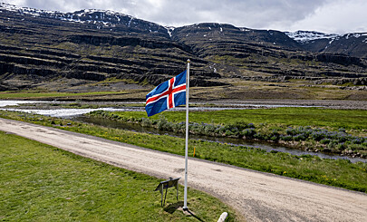 Американский политик пошутил, что Исландия станет 52-м штатом