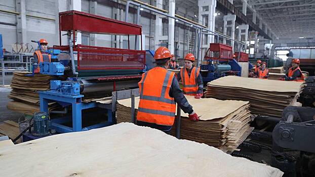 Инвестиции на 5 млрд рублей привлек проект лесопромышленного предприятия из Вологды