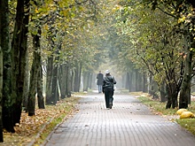 В парке Москвы трое мужчин изнасиловали девушку