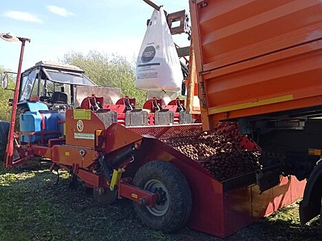 В Удмуртии начали высаживать овощи