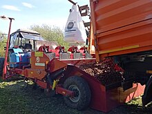 В Удмуртии начали высаживать овощи