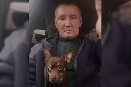 Таксист из Липецка покорил пассажиров своей маленькой собакой