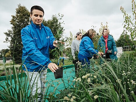 Москвичи могут узнать о культуре городских палисадников в музее-заповеднике "Царицыно"