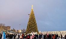 В Волгограде в пойме Царицы засияла главная городская елка
