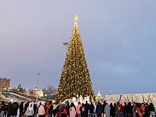 В Волгограде в пойме Царицы засияла главная городская елка