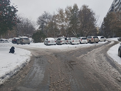 Новосибирск ждет снежный ноябрь: прогнозы погодных сервисов