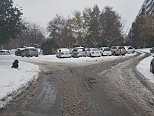 Новосибирск ждет снежный ноябрь: прогнозы погодных сервисов