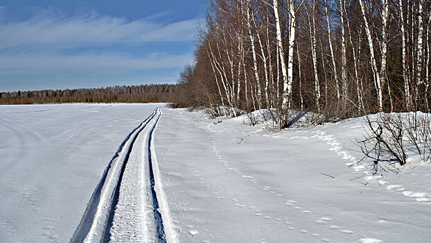 Самые мощные в России снегоходы начали выпускать под Ярославлем