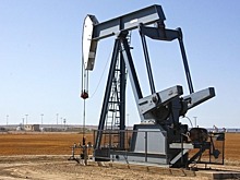 Экспертизу земель, испорченных в результате добычи ископаемых, могут упростить