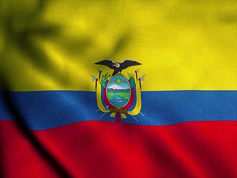 Политолог назвал причины беспорядков в Эквадоре