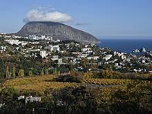 Продажа имущества украинских олигархов пополнила бюджет Крыма