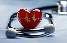 В Саратове создали аппарат, позволяющий сравнить показатели здорового и больного сердца