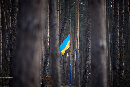 RS: Запад планирует покрыть расходы на Украину её ресурсами. Напрасно.