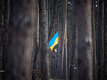 RS: Запад планирует покрыть расходы на Украину её ресурсами. Напрасно.
