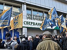 Затулин: Российским банкам нечего делать на Украине