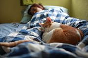Названы причины склонности кошек рано будить хозяев