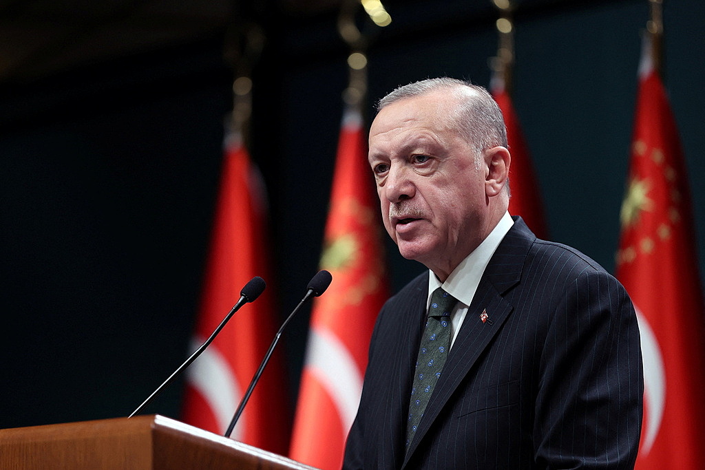 В Турции рассказали о планах Эрдогана спустить Зеленского «с небес на землю»