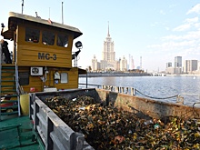 Какие необычные находки доставали со дна Москвы-реки