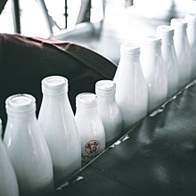 Реализация молока на молочных предприятиях России выросла на 6%