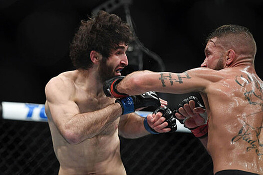 Чемпион UFC Волкановски предложил Забиту соперника