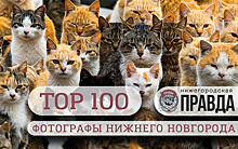 TOP 100. Самые интересные фотографы Нижнего Новгорода