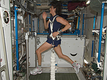 «Мы не застряли»: вытащенные из космоса американские астронавты проявили неблагодарность