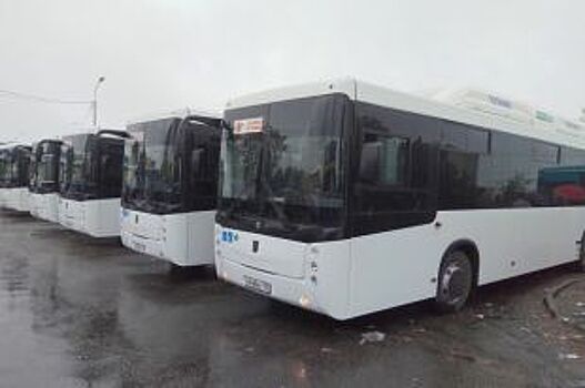 С 29 апреля начнут курсировать ночные автобусы