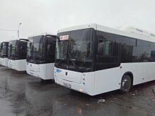 С 29 апреля начнут курсировать ночные автобусы