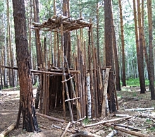 В лесу на Южном Урале обнаружили самодельный дом